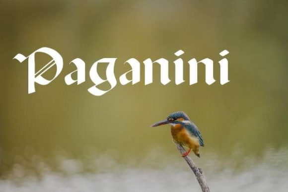 Paganini: The Gothic Font That Commands Attention