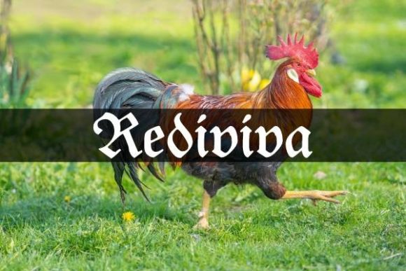 Rediviva: Elevating Craft with Blackletter Design